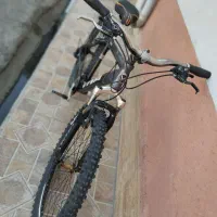 دوچرخه ویوا