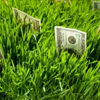 یک قطعه زمین 700متری بهترین لوکیشن شمال قابل تهاتر