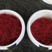 زعفرون سرگل طبس خیلی خوشبو