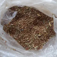 بذر یونجه|خدمات باغبانی و درختکاری|نهاوند, |دیوار