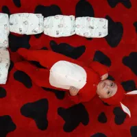 اهداکننده تخمک و رحم جایگزین (کسب درآمد)