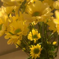 خدمات فیشیال و پاکسازی و اصلاح