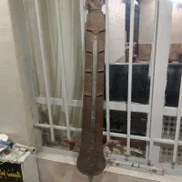 شاه تیغ کوچک علم