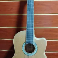 گیتار ویکتور کات وی پیکایدار