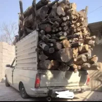 بریدنه درخت و نخل|خدمات باغبانی و درختکاری|سوسنگرد, |دیوار