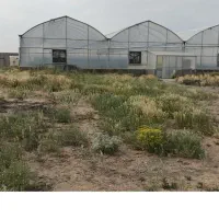 زمین زراعی با مجوز دیوار کشی و امتیازات