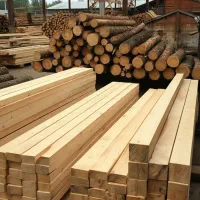 باغ صنوبر، کارخانه پول‌سازی شما در آینده نزدیک