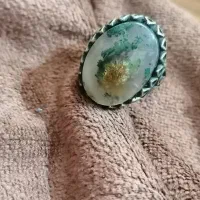 شجر دریایی زیبا|جواهرات|خسروشاه, |دیوار