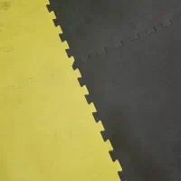 تاتمی زردومشکی 270