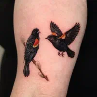 اجرا و آموزش تتو بدن همراه با مدرک|خدمات آموزشی|پاکدشت, پاکدشت (مامازند)|دیوار