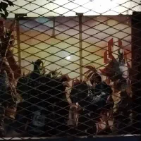 گیم‌نت،کابل شبکه،بنز