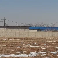 اجاره-مرغداری-تخم-گذار