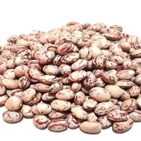 لوبیا چیتی و تخمه کدو سیب زمینی هم موجود می باشد.