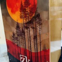 کاخن حرفه ای میکروفون دار