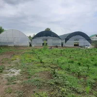 گلخانه فعال