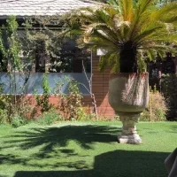 استخدام ظرفشور