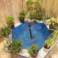 حوض گل|گل و گیاه طبیعی|نیشابور, فضل|دیوار