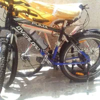 انواع دوچرخه های اصلی بابرند های معرف در حدنو