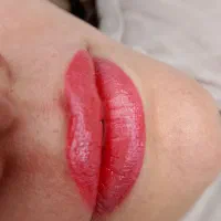 نیازمند تعداد محدود مدل ابرو و شیدینگ لب
