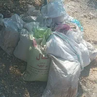 کود گوسفندی
