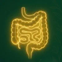 روغن و دمنوش های گیاهی و طبیعی|خوردنی و آشامیدنی|نیشابور, گمنام غربی|دیوار