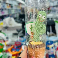 کاکتوس|اسباب‌‌بازی|آفتاب, |دیوار