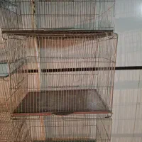 قفس قناریوتاب ولوازم پرنده و..توضیحات بخونید|لوازم جانبی حیوانات|اصفهان, شفق|دیوار
