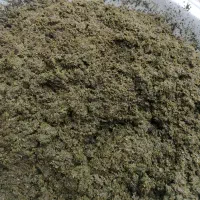 سبزی خورشتی اعلا