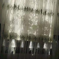 بدنبال سند برای ضمانت هستم