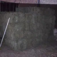 پرس یونجه