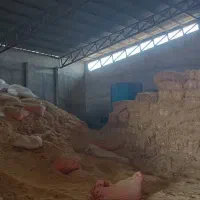 کاه کوبیده|لوازم جانبی حیوانات|قم, قلعه کامکار|دیوار