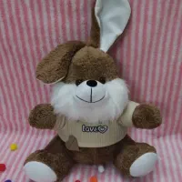 عروسک خرگوش لباس دار 40سانتی