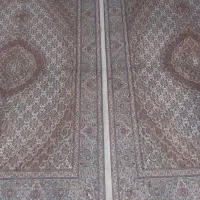 کرم قهوه‌ای تک ۶متری میشه جفت قالیچه هس|فرش|میانه, |دیوار