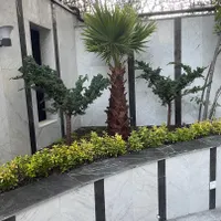 شمال مرزداران فرشتگان۱۱۱متر رو به کوچه بازسازی شده