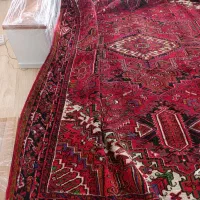 فرش دست بافت|فرش|سهند, |دیوار