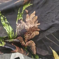 پارچه حریر مجلسی وپارچه کتی کرپ