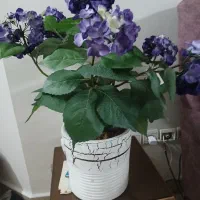 گل گلدان مصنوعی