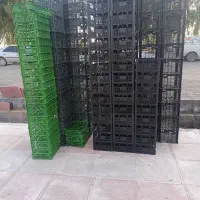 سبد میوه نو