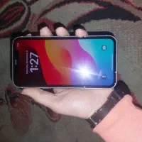 ایفون ۱۱|موبایل|تهران, هفت حوض|دیوار