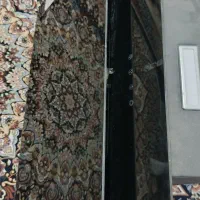 هود|هود|زاهدان, |دیوار