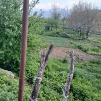 فروش ۳۰۰ متر زمین مسکونی روستای ازنی در کیاسر ساری