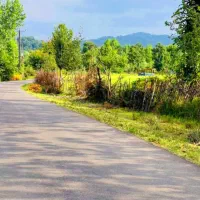 فروش زمین برا گردشگری با ۳۰میلیارد وام|فروش زمین و ملک کلنگی|شفت, |دیوار