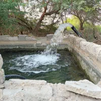 اجاره زمین کشاورزی در روستای گودو قلعه قاضی