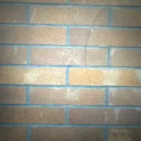 مصالح کش نیازمندیم برای پروژه دولتی