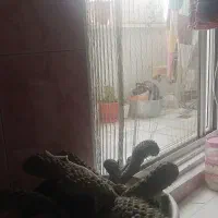 درخواست سرایدار