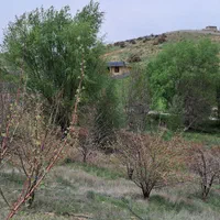 زمین باغ شیراز دارای سرچشمه(کهمره سرخی)