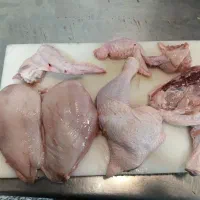 مرغ ران شینسل ران مجلسی بال اسکلت گالابرگ فعال است