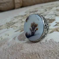 انگشتر شجر|جواهرات|نسیمشهر, |دیوار