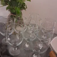 گیلاس خوری پاشاباغچه/ظرف دردار و پایه استیل و چوب