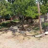خانه-ویلایی